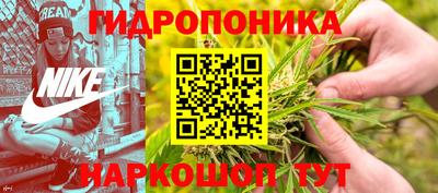 Альфа ПВП Кингисепп
