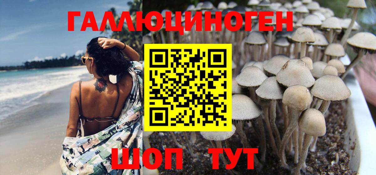 Псилоцибиновые грибы мухоморы Каменск-Уральский