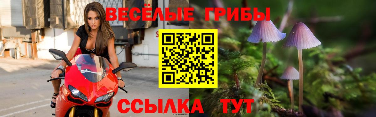 Каменск-Уральский  Галлюциногенные грибы Psilocybe  Псилоцибиновые грибы мухоморы  Вход с VPN 